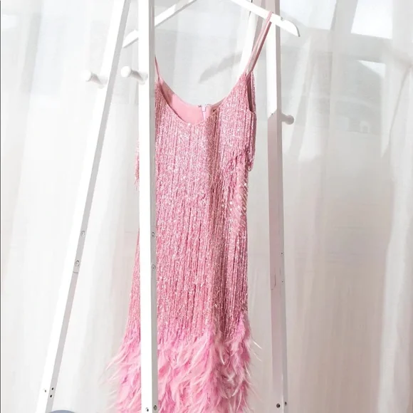 Nadine Merabi Lottie Pink Dress XS / US 2 - Picture 4 of 14